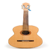 The Acoustic Guitar Tuner
